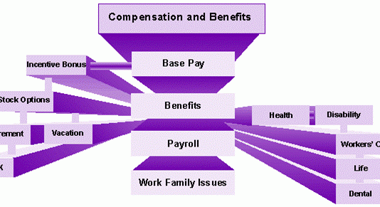 Pelatihan Compensation & Benefit